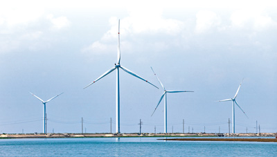 亿万281980：东营：乘势而上引“风”来